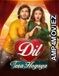 Dil Tera Hogaya (2020) Urdu Full Movie